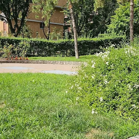 Urban De Angeli, 7